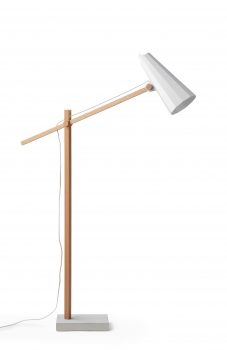 filly long neck