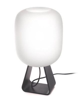 toad1up_black_oak-1-1